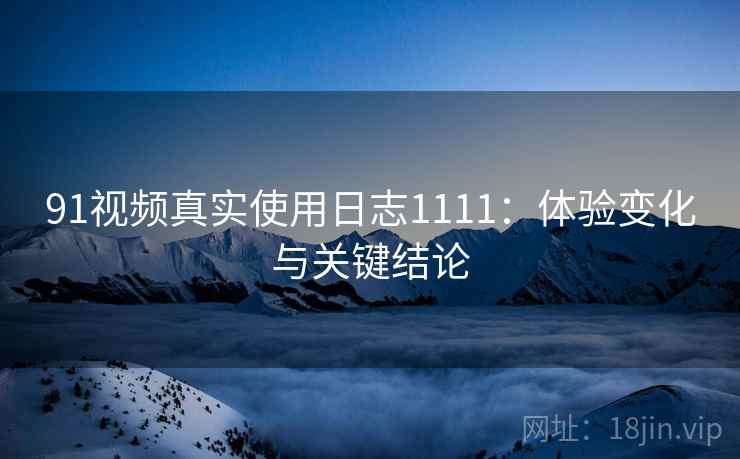 91视频真实使用日志1111：体验变化与关键结论  第2张