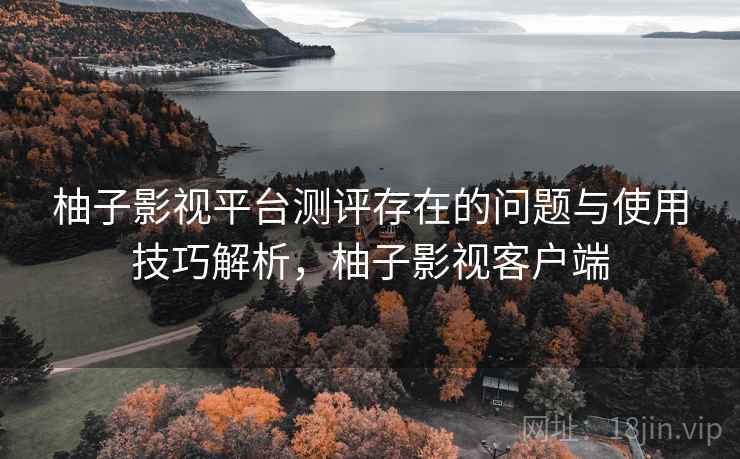 柚子影视平台测评存在的问题与使用技巧解析，柚子影视客户端  第1张