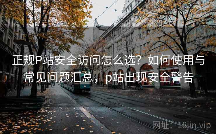 正规P站安全访问怎么选？如何使用与常见问题汇总，p站出现安全警告  第2张