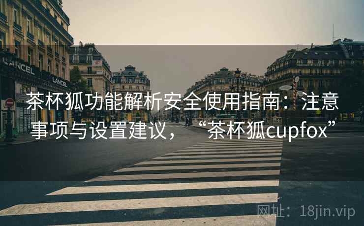 茶杯狐功能解析安全使用指南：注意事项与设置建议，“茶杯狐cupfox”  第2张