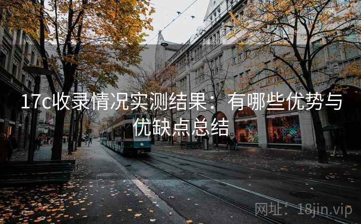 17c收录情况实测结果：有哪些优势与优缺点总结  第2张